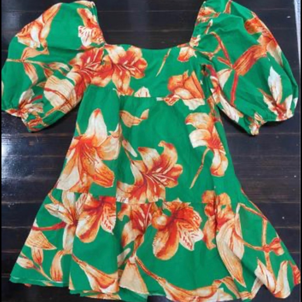 Plant print lantern sleeve dress